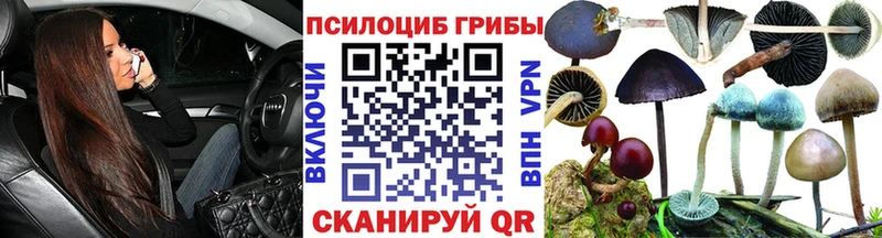 Псилоцибиновые грибы Magic Shrooms  продажа наркотиков  Алушта 