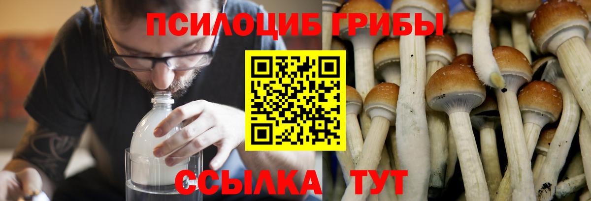 Алушта  Псилоцибиновые грибы GOLDEN TEACHER  Вход с VPN  продажа наркотиков  Галлюциногенные грибы прущие грибы 